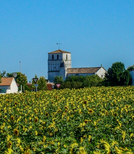 camping saint sulpice royan