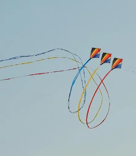 Festival International du cerf volant