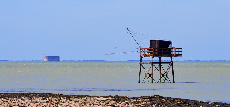 spot pêche surfcasting charente maritime