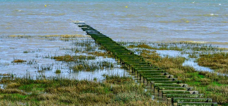 L'île d'Aix - Coin secret en Charente Maritime