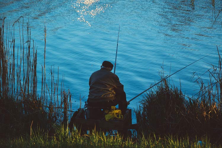 Les étangs de la Beausse en Charente-Maritime