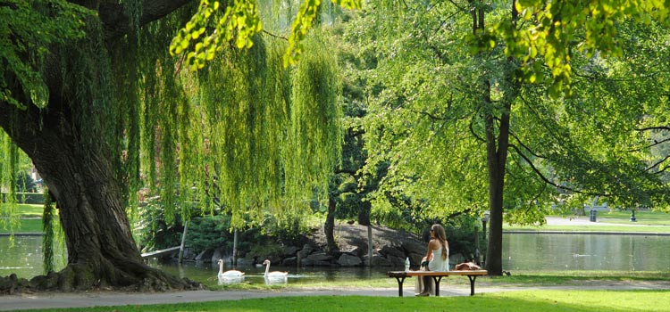 Parc autour de Royan