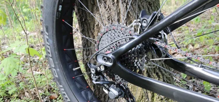 Parcours incontournables Royannes