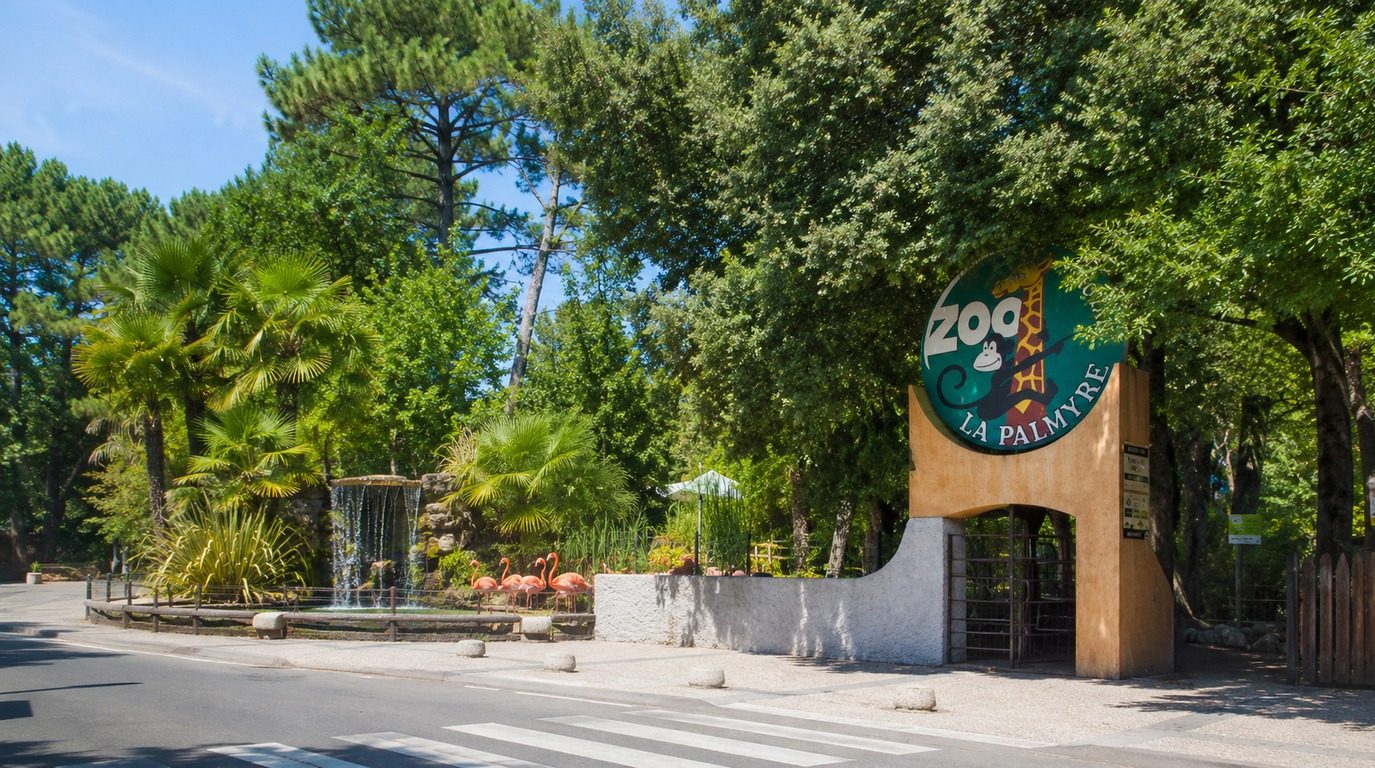 zoo palmyre generaliste 1375x768