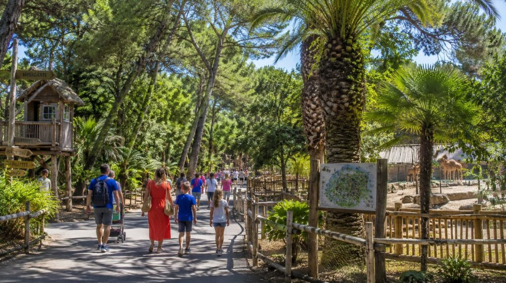 zoo palmyre parcours 1375x768