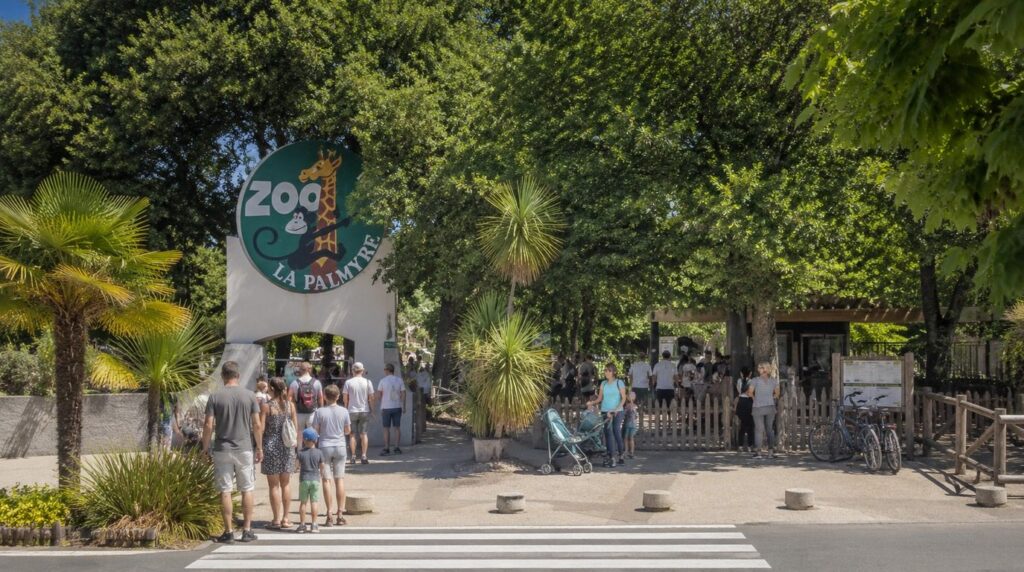 zoo palmyre preparez votre visite