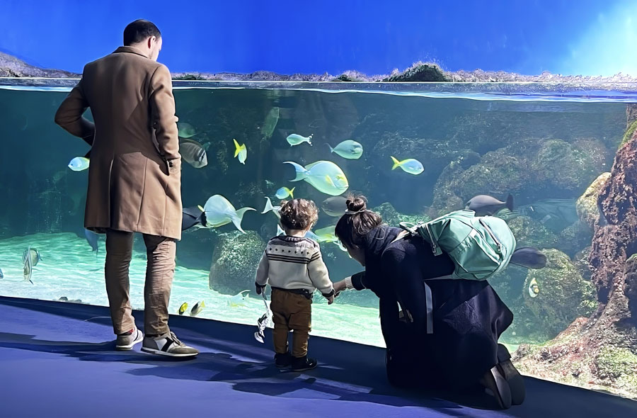 Visiteurs histoire aquarium la rochelle